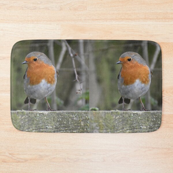 Item preview, lovely robin  designed and sold by tammy mellor.
