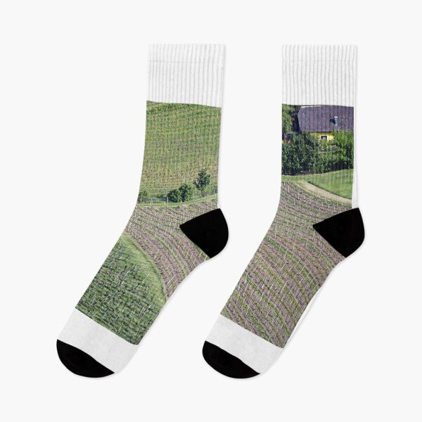 Item preview, Vineyard near Vienna city aerial view designed and sold by goceris.