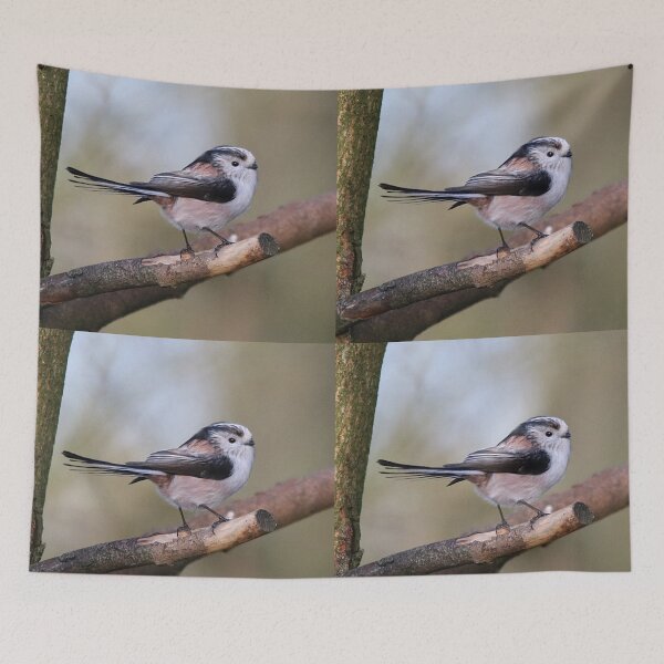 Item preview, long tailed tit designed and sold by tammy mellor.