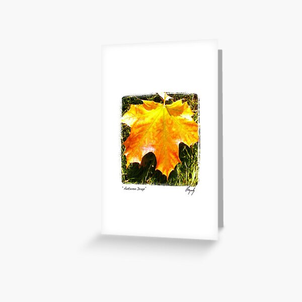 Autumn Drop Greeting Card