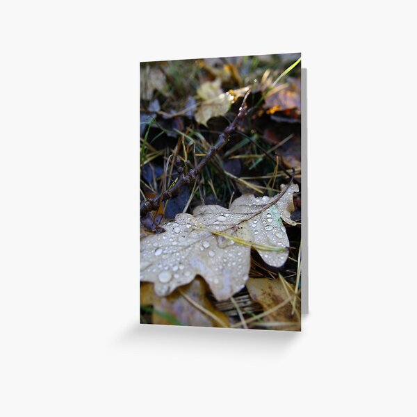 Drops Greeting Card