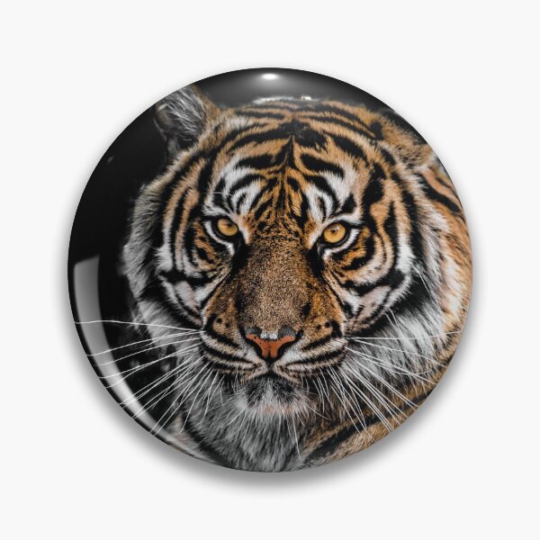 Item preview, CREATIVITYLOVE CLASSIC TIGER PATTERNS designed and sold by VividThreadsDesignStudio.