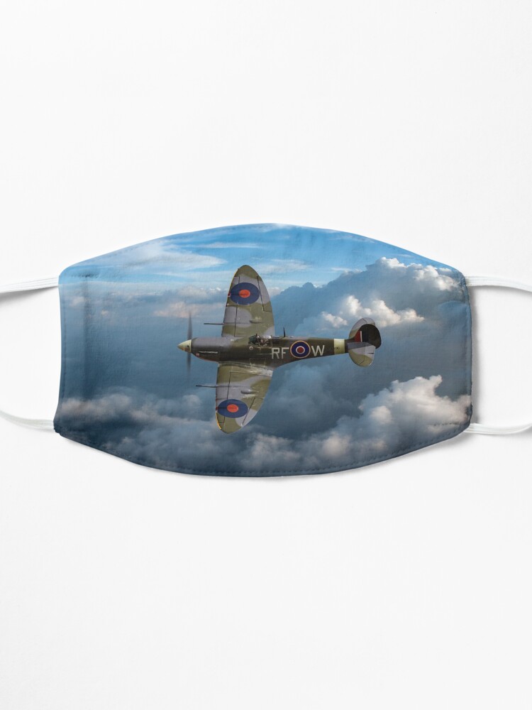 Alternate view of Spitfire Vb Mask