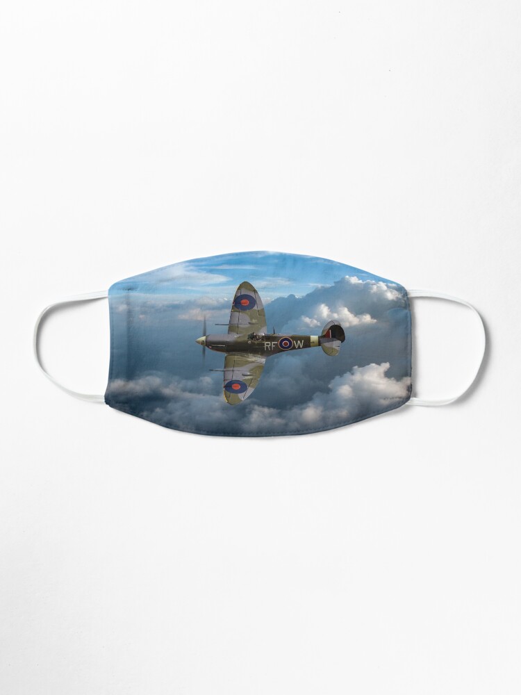 Alternate view of Spitfire Vb Mask