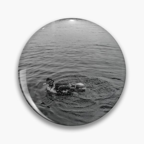 Item preview, Muscovy duck on the Norfolk Broads designed and sold by yackers1.