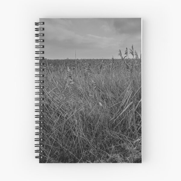 Item preview, Norfolk reed bed designed and sold by yackers1.