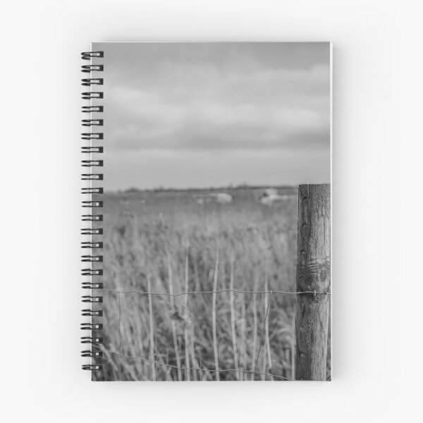 Item preview, A view over the reed bed in Acle, Norfolk designed and sold by yackers1.