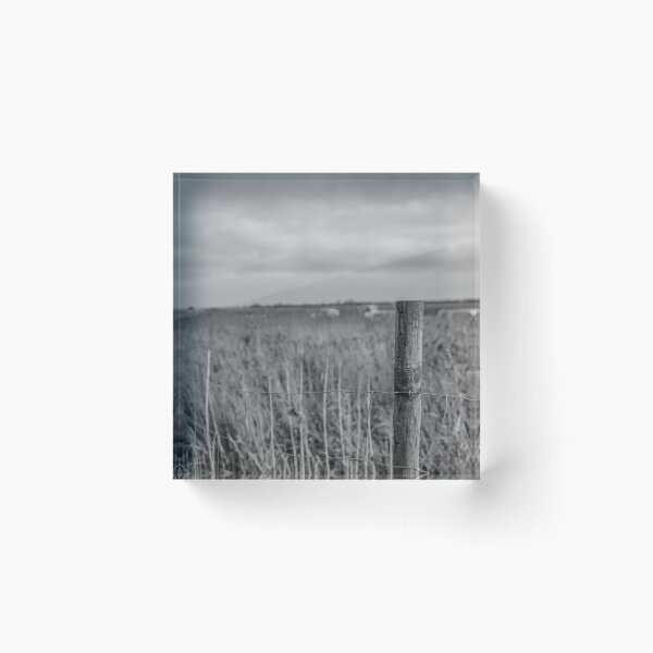 Item preview, A view over the reed bed in Acle, Norfolk designed and sold by yackers1.