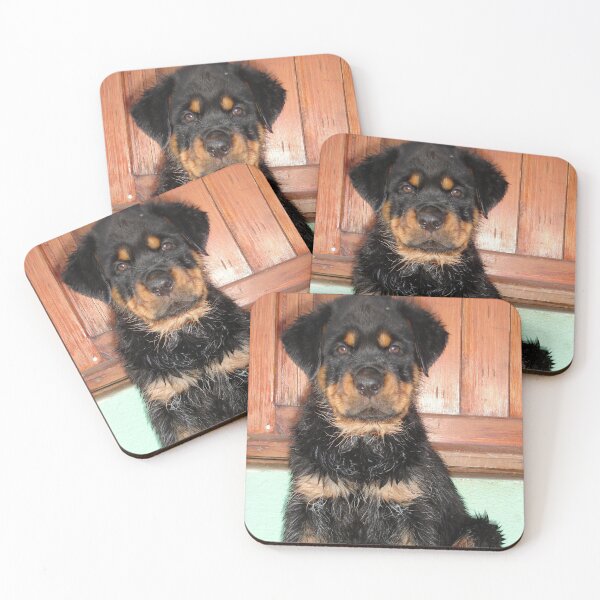 Item preview, A Discontented and Wet Rottweiler Puppy  designed and sold by taiche.