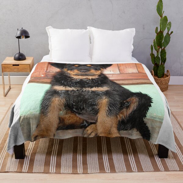 Item preview, A Discontented and Wet Rottweiler Puppy  designed and sold by taiche.