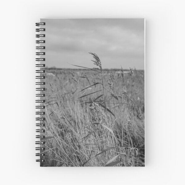 Item preview, Norfolk reed bed designed and sold by yackers1.