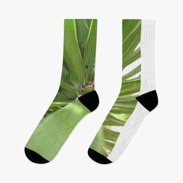 Item preview, Katydid and The Green Mile designed and sold by taiche.