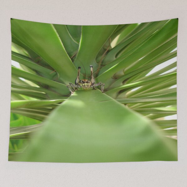 Item preview, Katydid and The Green Mile designed and sold by taiche.