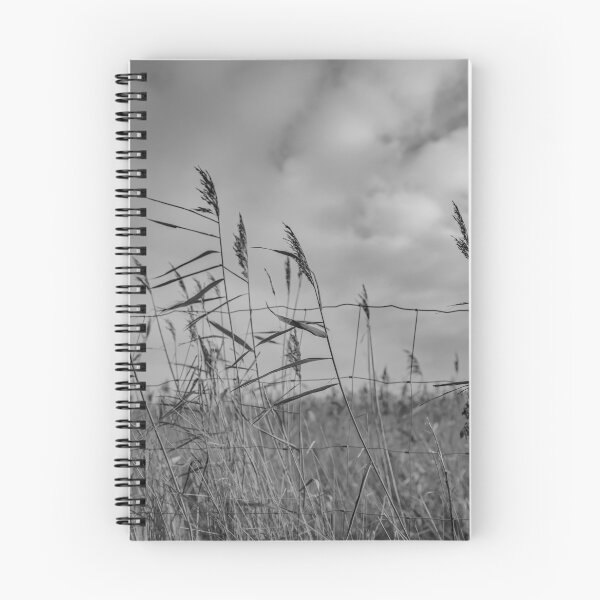 Item preview, Norfolk reed bed designed and sold by yackers1.