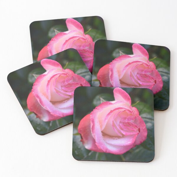 Artikelvorschau, Pink Rose entworfen und verkauft von Linnys-Designs.