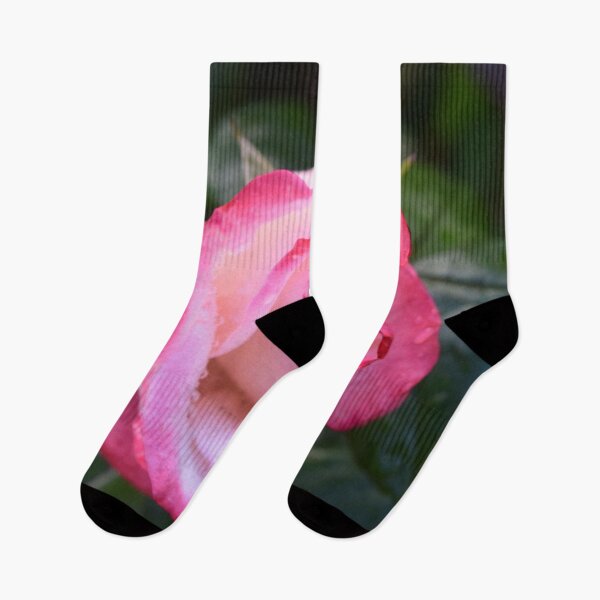 Artikelvorschau, Pink Rose entworfen und verkauft von Linnys-Designs.