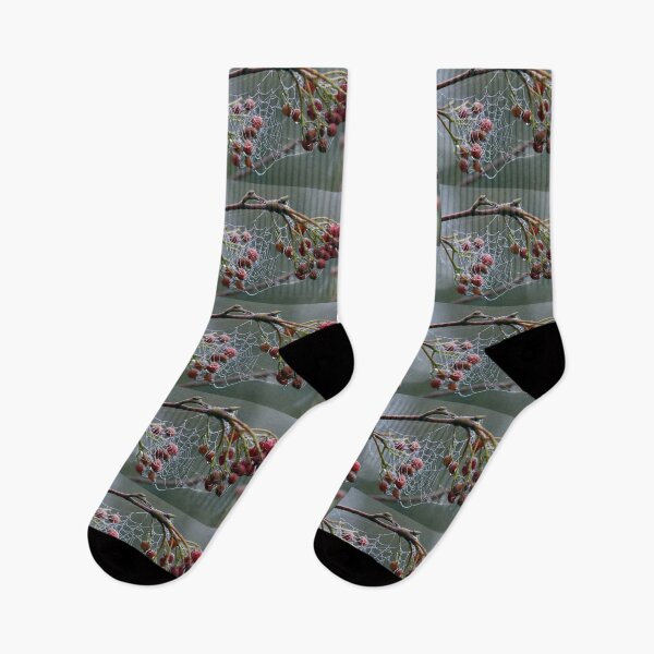Item preview, frosty morning designed and sold by tammy mellor.