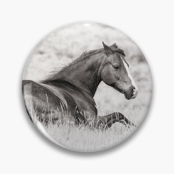 Item preview, Equine Elegance - Black and White Photo of a Horse Relaxing in a Field designed and sold by ChrisWrightPics.