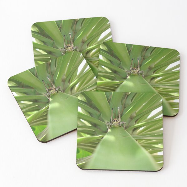 Item preview, Katydid and The Green Mile designed and sold by taiche.