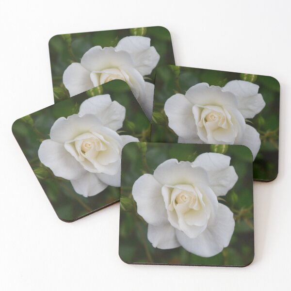 Item preview, White rose designed and sold by Linnys-Designs.