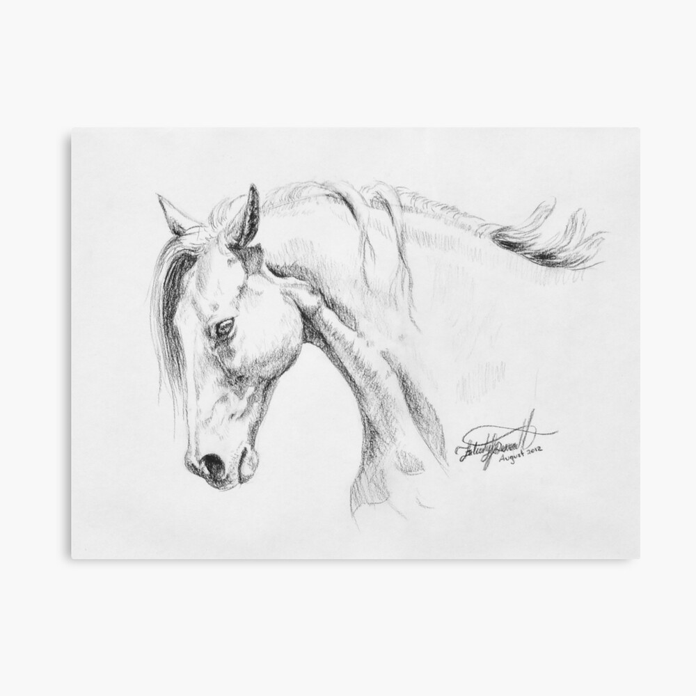 horse head charcoal drawing