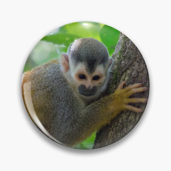 Item preview, Squirrel monkey on a branch designed and sold by Ulysse Pixel.