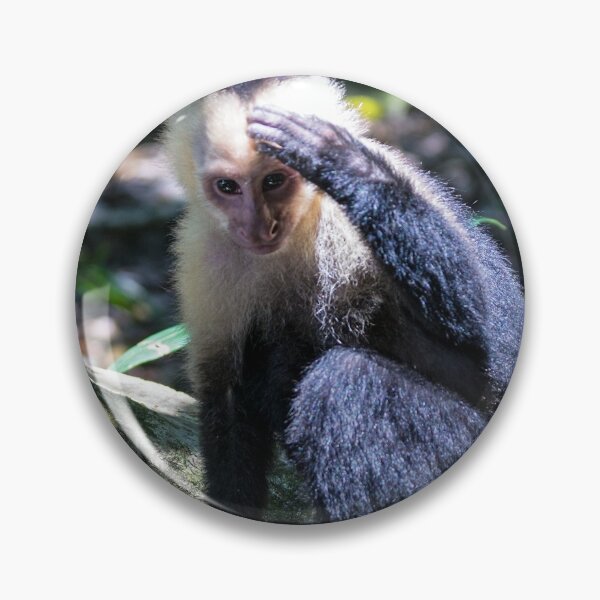 Item preview, White headed capuchin monkey designed and sold by Ulysse Pixel.