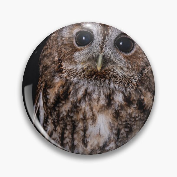 Item preview, Tawny Owl with Crown designed and sold by Tori Andrews.
