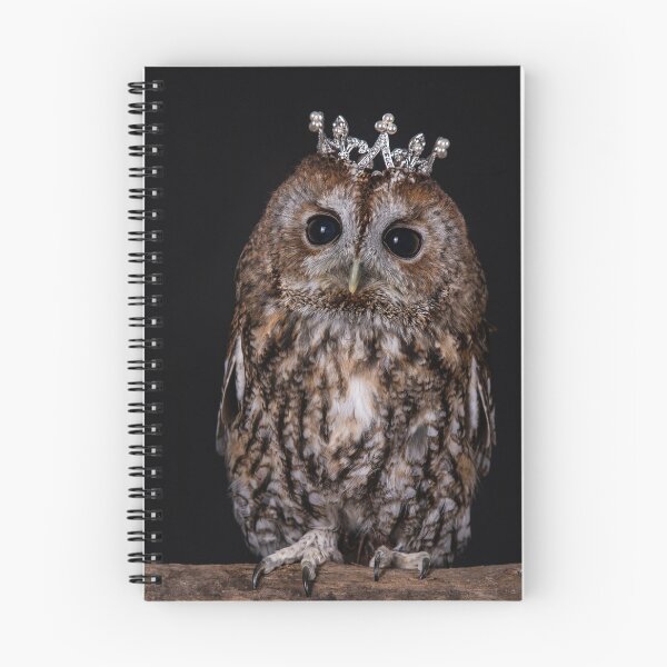Item preview, Tawny Owl with Crown designed and sold by Tori Andrews.