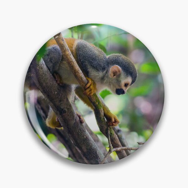 Item preview, Mono ardilla - Costa Rica designed and sold by Ulysse Pixel.