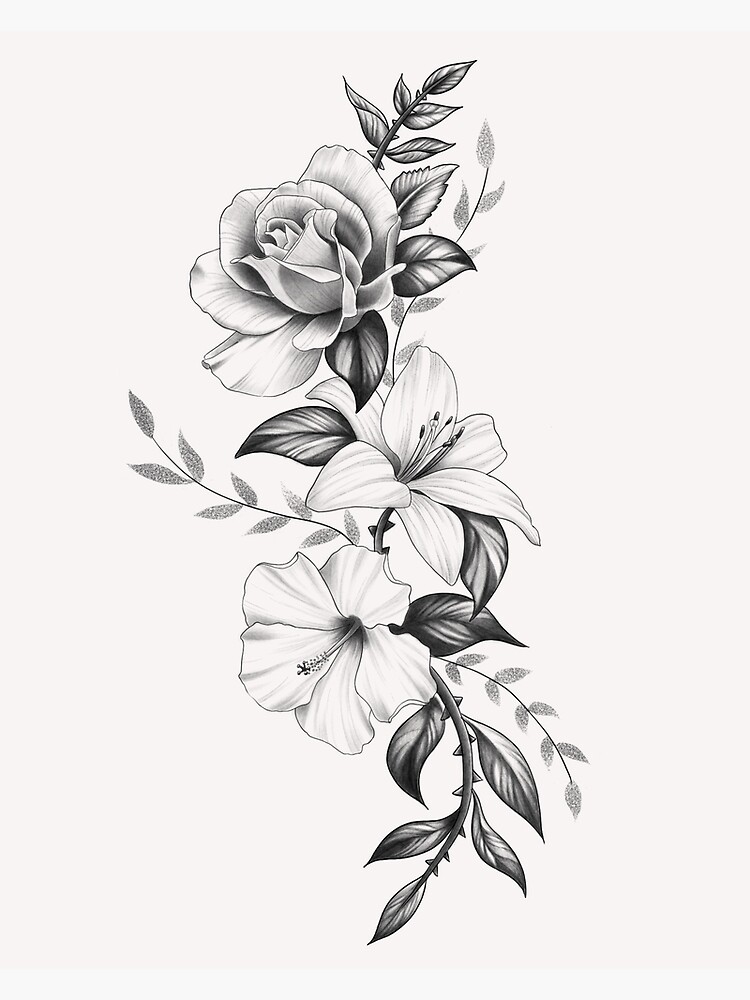 Lotus Flower SVG Bundle, Clipart, Flower PNG, Vector, Lotus Silhouette  Black Tattoo | Vectorency