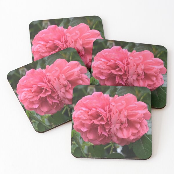 Artikelvorschau, Two Pink Peonies entworfen und verkauft von Linnys-Designs.