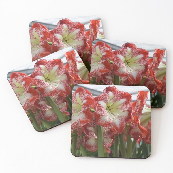 Item preview, Red lilies designed and sold by Linnys-Designs.