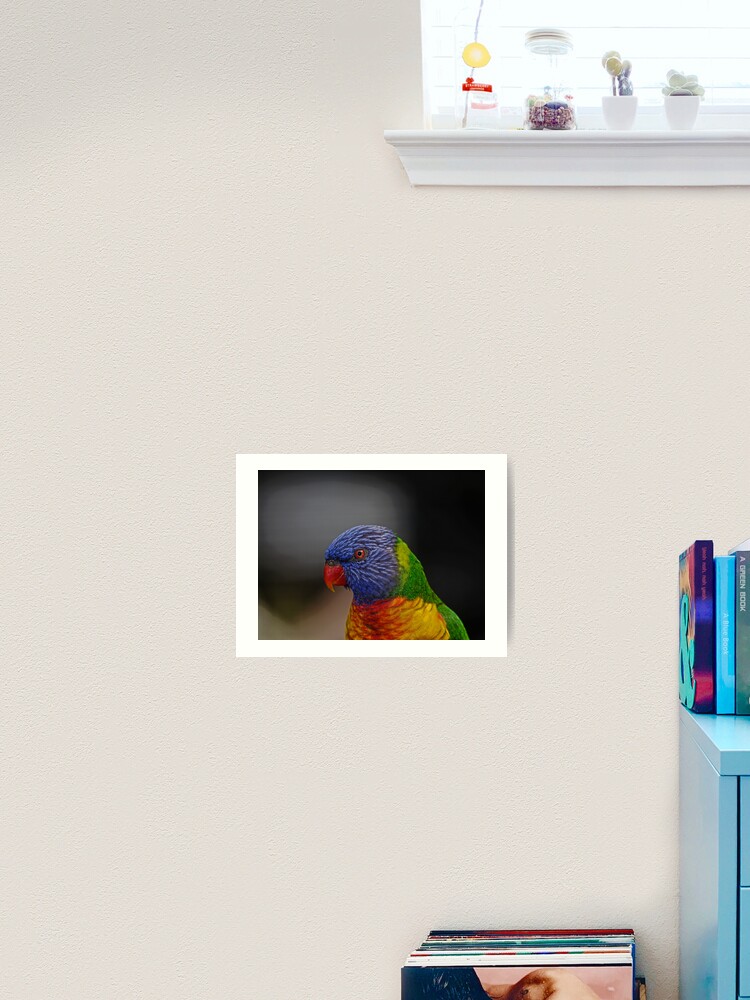 Thumbnail 2 of 3, Art Print, Rainbow Lorikeet portrait designed and sold by theoddshot.