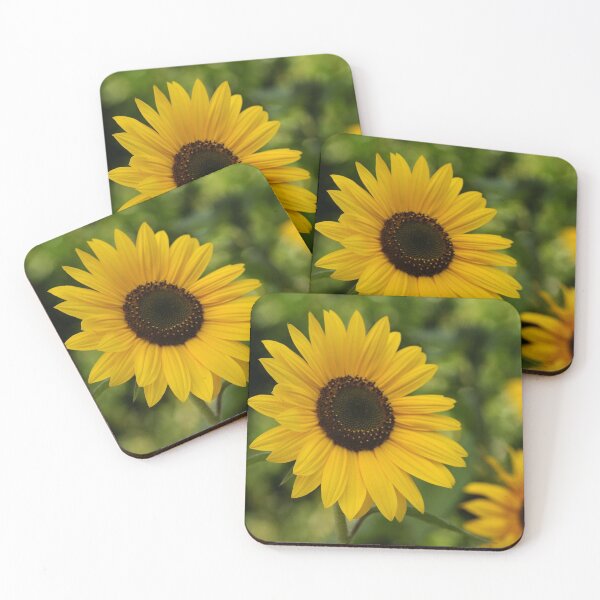 Item preview,  Sunflowers designed and sold by John Ray.