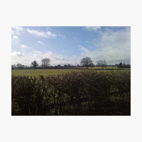 Artikelvorschau, Summer hedgerow entworfen und verkauft von Mick Bull.