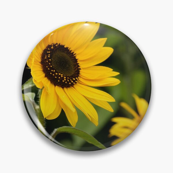 Item preview,  Just Sunflowers. designed and sold by John Ray.