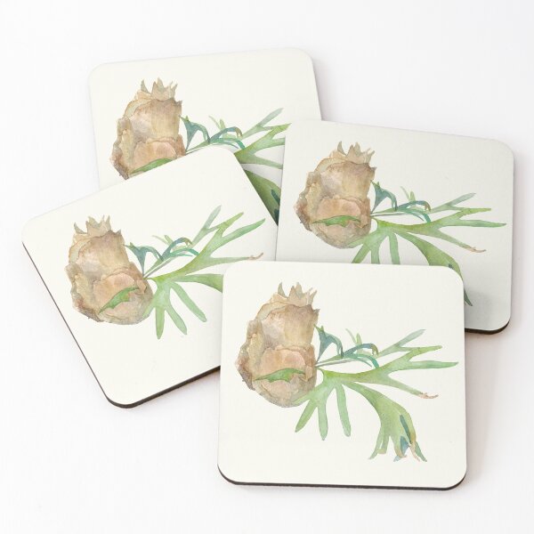 Item preview, Staghorn Fern. Watercolor painting. Hand painted illustration. designed and sold by Antonina Sotnikova.