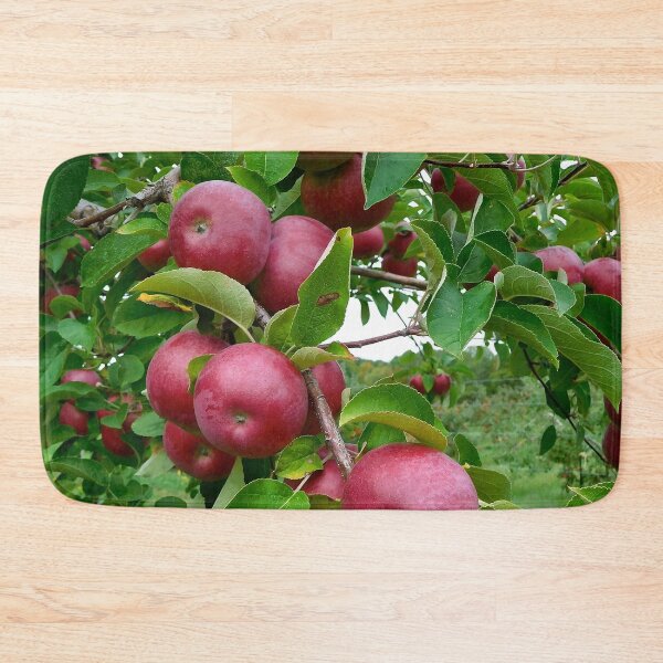 Item preview, Red Apples in Maine Orchard designed and sold by HilaryLeslie.