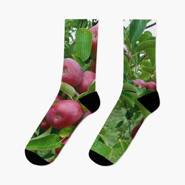 Item preview, Red Apples in Maine Orchard designed and sold by HilaryLeslie.