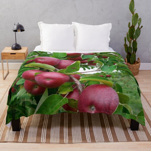Item preview, Red Apples in Maine Orchard designed and sold by HilaryLeslie.