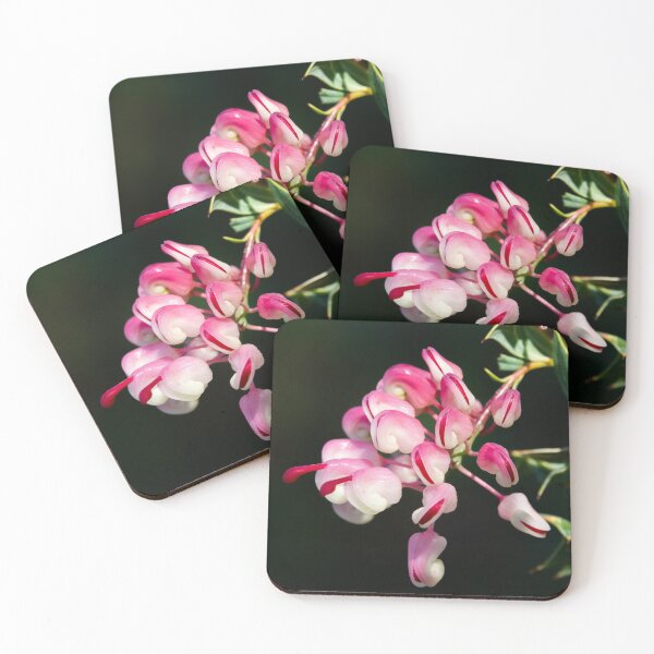 Item preview, Grevillea designed and sold by SallyB.Photography.