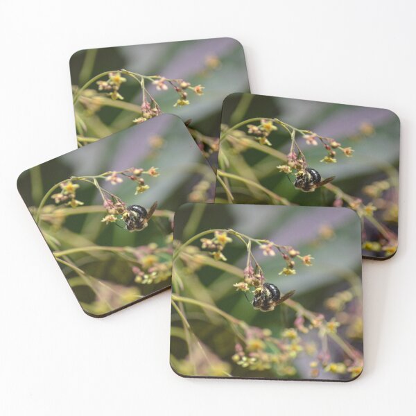 Item preview,  coleccionar designed and sold by SRosuphotos.