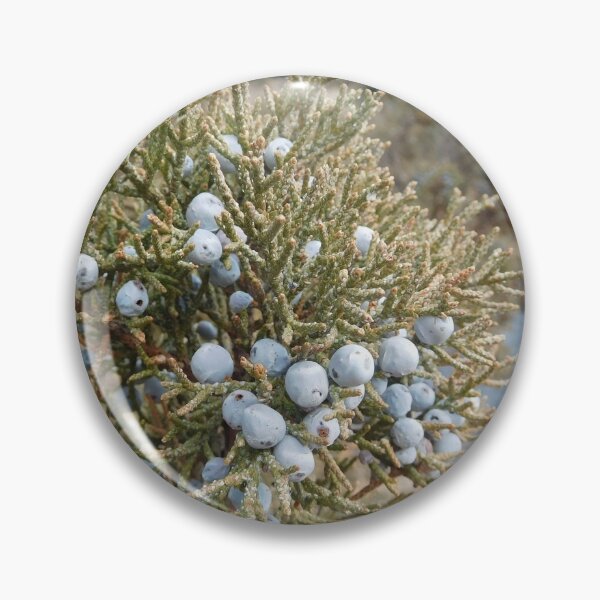 Item preview, Eastern Oregon Juniper Berries designed and sold by HilaryLeslie.