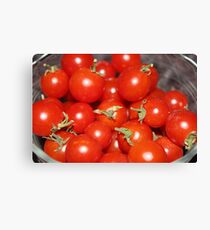 Summertime Tomatoes Canvas Print