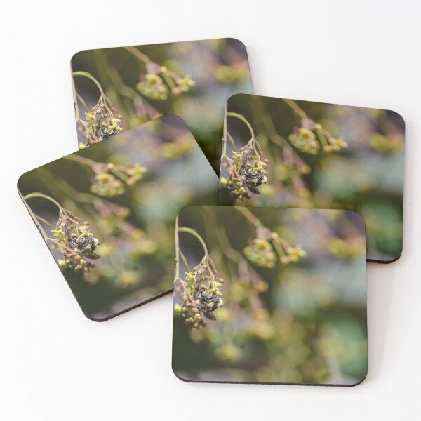 Item preview, Jungle Bee designed and sold by SRosuphotos.