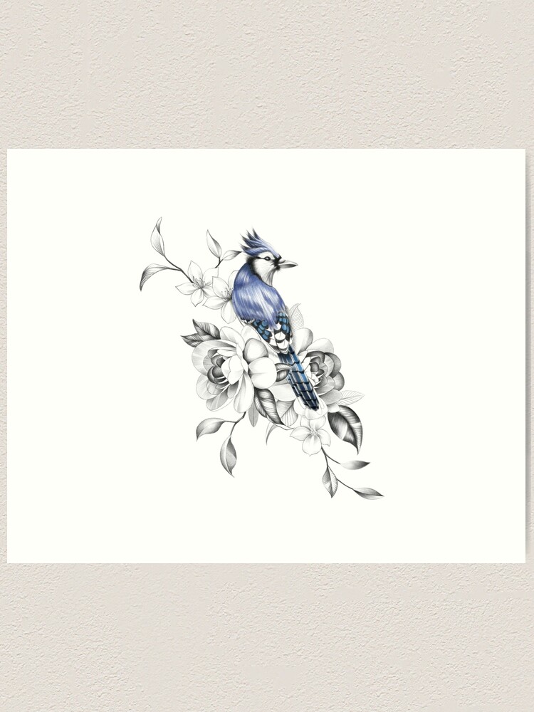 Cotton Flowers Branch On Blue Background Top View Poster Pastel