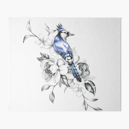 Premium Photo  Blue jay in pink poppy flowers watercolor