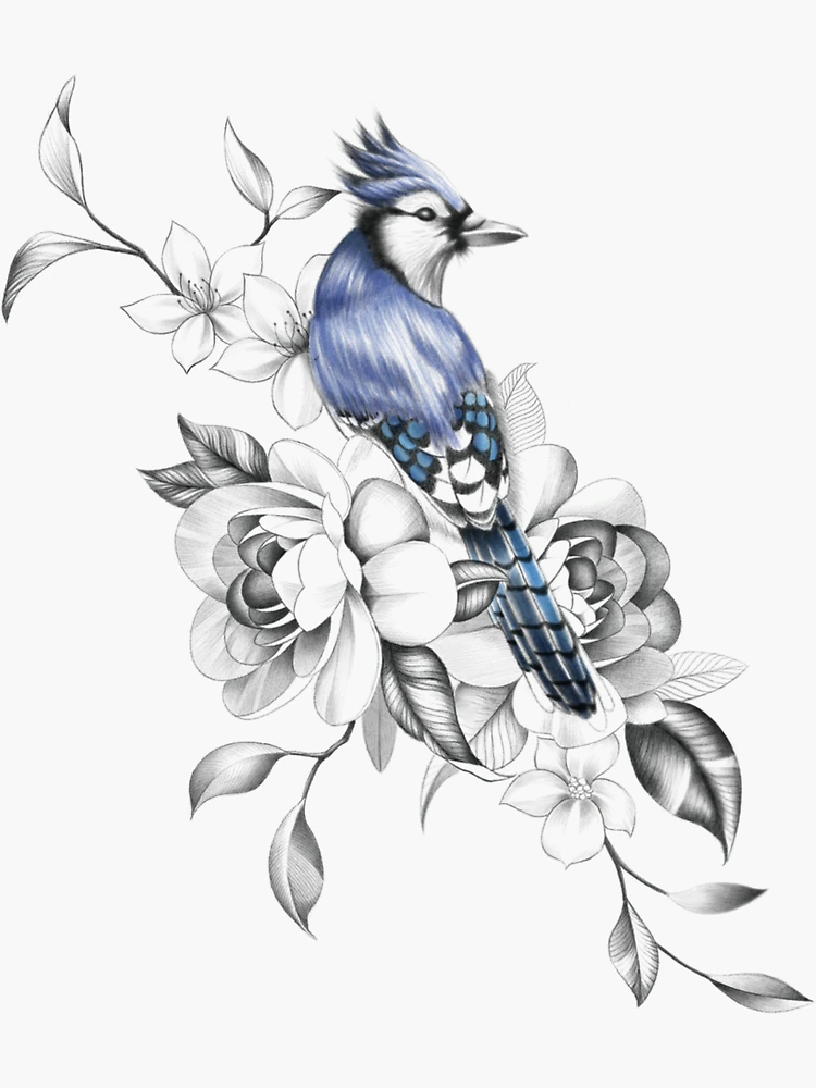 Buy Blue Jay Full Color Print Online in India - Etsy