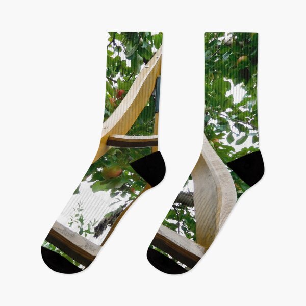 Item preview, Ladder in Apple Orchard, Topsham, Maine designed and sold by HilaryLeslie.